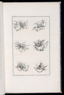 Print, Trophy Designs