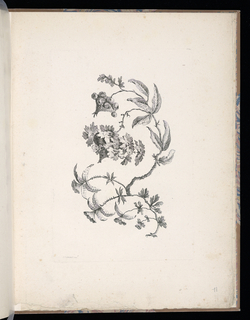 Print, Spray of Flowers