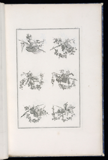 Print, Trophy Designs