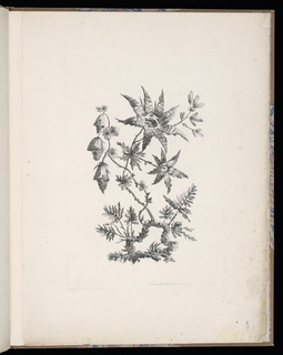 Print, Spray of Flowers