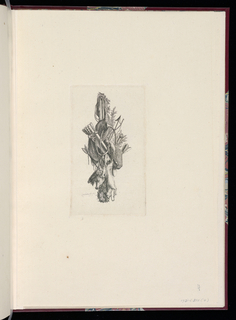 Print, Hunting Trophy Design