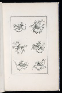 Print, Trophy Designs