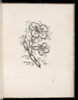 Print, Spray of Flowers