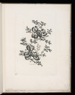 Print, Spray of Flowers