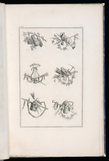 Print, Trophy Designs