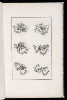 Print, Trophy Designs