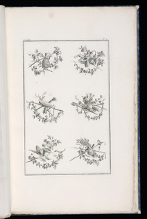 Print, Trophy Designs