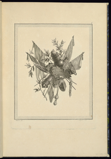 Print, Trophy Design