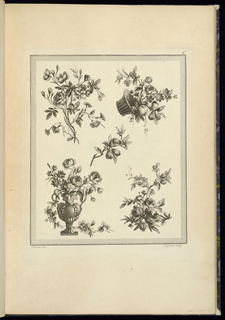 Print, Floral and Fruit Ornament Designs