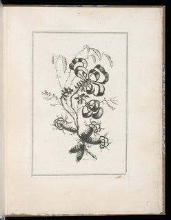 Print, Spray of Flowers