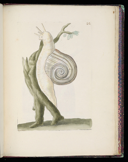 Bound Print (France)