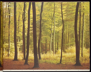 Sample Book, Decor Photowalls