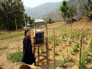 Drip Irrigation System