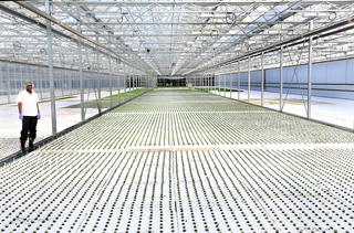 Evergreen Cooperatives