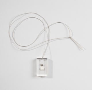 Fred Pendant Necklace With Case