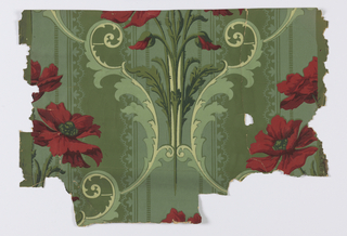 Sidewall - Fragment (USA)