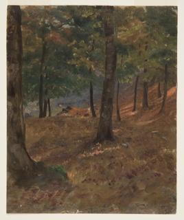 Drawing, Woodland Scene