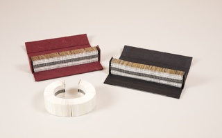 Rembrandt’s Hands and a Lion’s Paw Process Materials For Book Bracelet