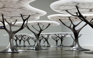 Coffee Table, Forest small