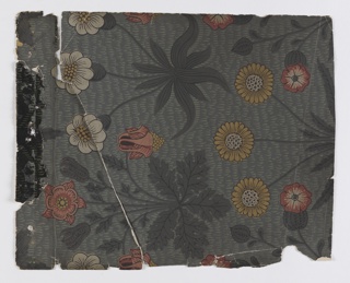 Sidewall - Sample, Daisy