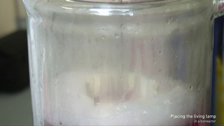 Video, Half Life Lamp: Documentary about making of Half Life Lamp