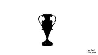 Video, Limited: Dying vases