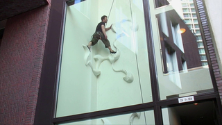 Video, Climbing person, Ivy