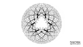 Video, Forest table: Algorithm Pattern Forest Table