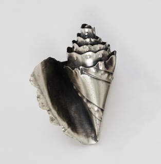 Conch shell Brooch