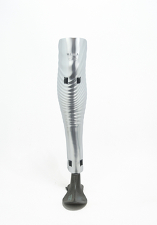 Prosthetic Leg Cover, The Mercury