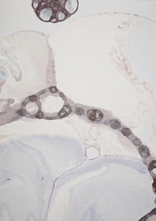 Sidewall, Microcosmos