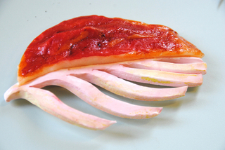 1005, Plant Bones Food Prototypes, 2016