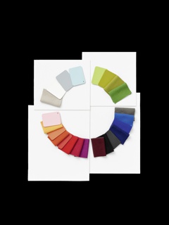Panton Color Wheel