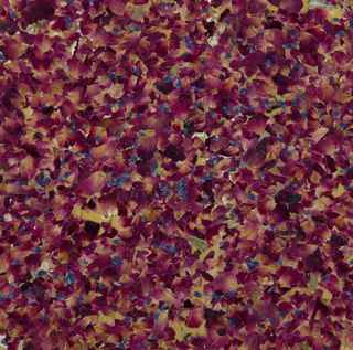 1203, Organoid Organic Rose Blossoms Wallcovering, 2016