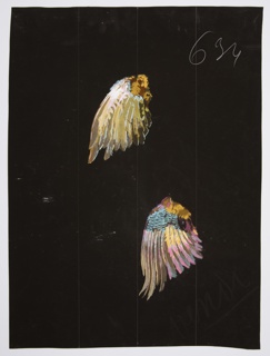 Drawing, Textile Design: Bird Wings