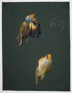 Drawing, Textile Design: Bird Wings