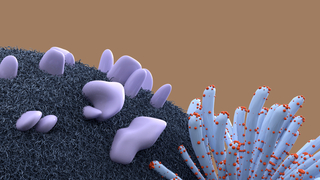 Sketchbook Folio, Sketchbook Page: Statue on Pedestal