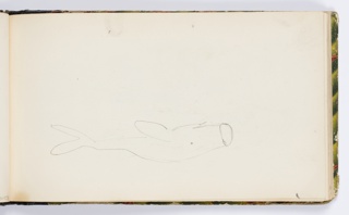 Sketchbook Folio, Sketchbook Page: Whale