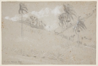Drawing, Cuban Hillside