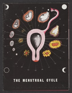 Brochure, The Menstrual Cycle