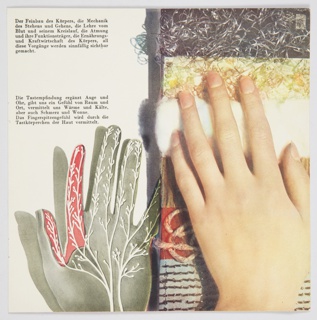 Booklet Pages, Pages from Das Wunder des Lebens (The Miracle of Life)