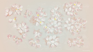 Bruises—The Data We Don’t See