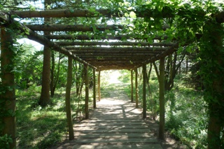 Nacadia Therapy Forest Garden