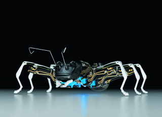 Bionic ANT
