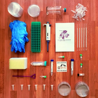 DIY Bacterial Gene Engineering CRISPR Kit