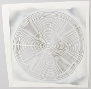 Print, Growth Ring Print Out for Exterior or Interior Wall Application for Large-Scale Study