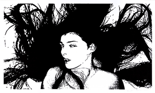 Poster, Untitled Black and White Woman's Face and Hair