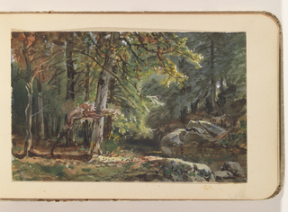 Album Page, Woodland Interior with Stream