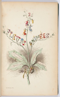 Book Illustration, Les fleurs animées (Animated flowers), vol. 2; Cactus