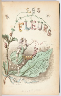 Les Fleurs Animees, Vol. 1